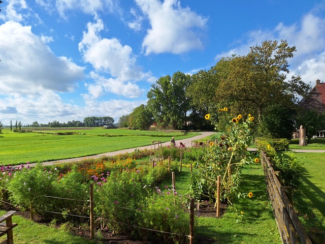 Ien jier pluktún: wat in weelde, wat in wille