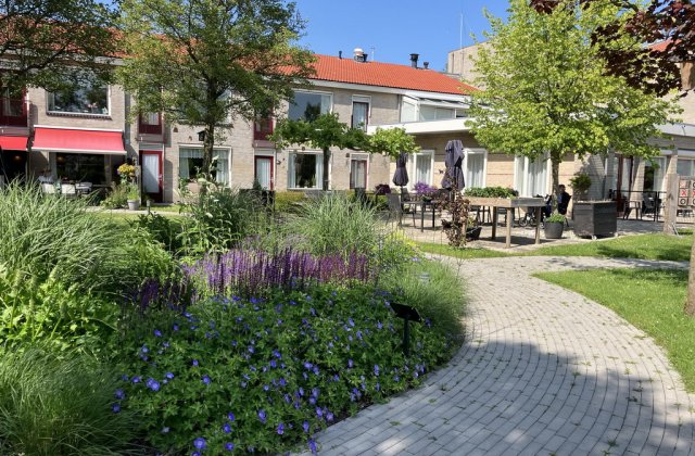 Nieuws vanuit Nij Dekama, juni 2025