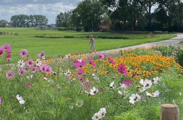 Pluktuin Weidum, voorjaar 2026